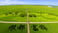 2018精神文明建設(shè)工作綜述
