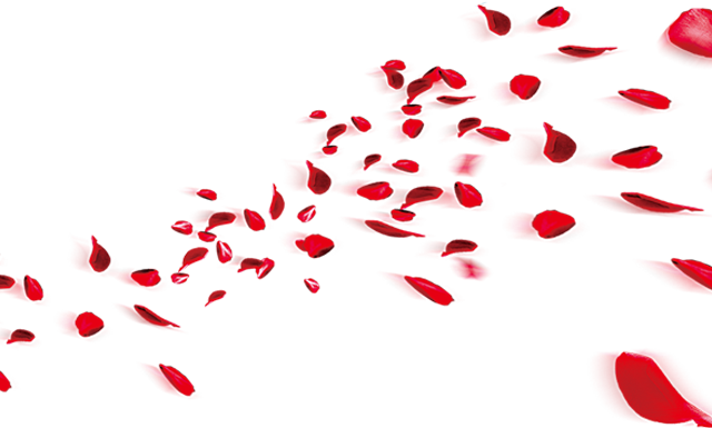 七夕\/家电活动宣传_微杂志怎么做- 兔展H5作品