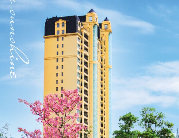 御海阳光7月服务工作回顾