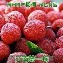 真馨小镇杨梅新鲜上市-杨梅采摘季！！！